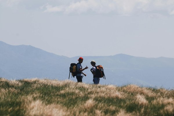 Où faire de la randonnée en chien de traîneau en Laponie finlandaise?
