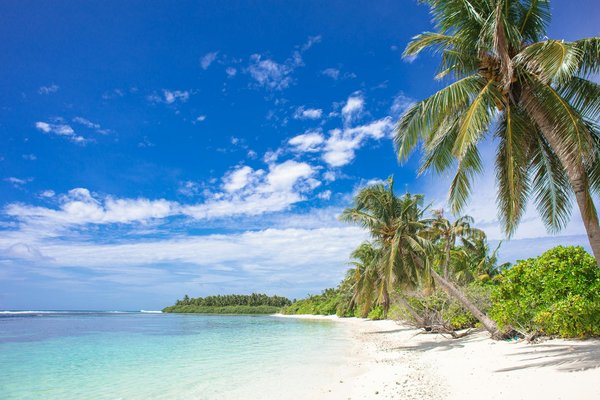 Comment organiser une visite des temples de Kyoto en été?