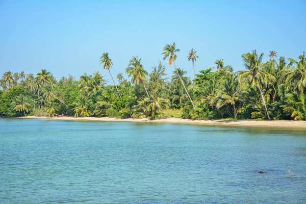 Quels conseils pour trouver une location de vacances en Finlande avec des excursions en motoneige et des ateliers de cuisine locale?