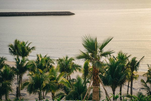 Comment organiser un voyage en voilier dans les îles Galápagos, Équateur?